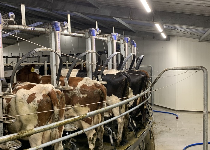 Nairn LED Lighting for Dairy Farms